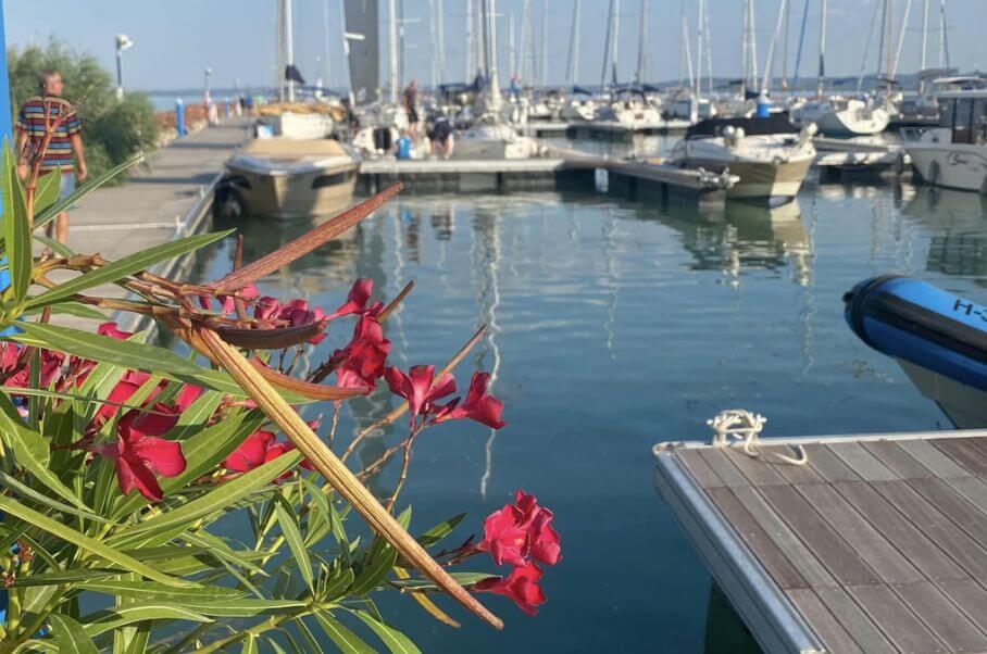 AKTÍV CSALÁDI NAPPAL, GYERMEKPROGRAMOKKAL ÉS KÉZMŰVES VÁSÁRRAL KÖSZÖNTIK A TAVASZT A KÉKSZALAG PORT-BAN
